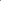Monobouquet with 24 Rose Red Piano And Pink Piano