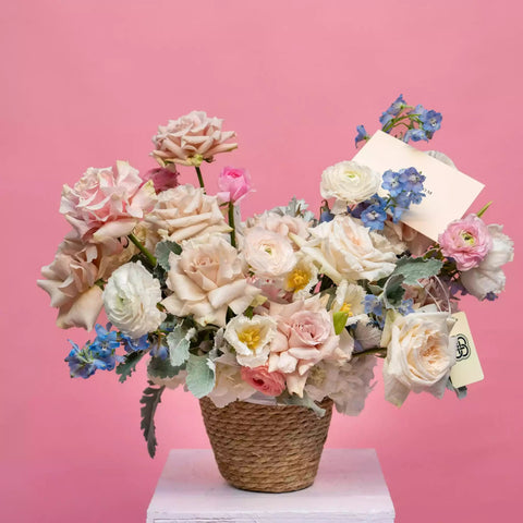 March 8th - International Women's Day Collection