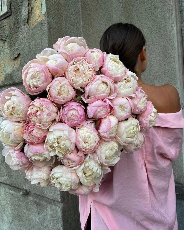 Peonies light pink Large