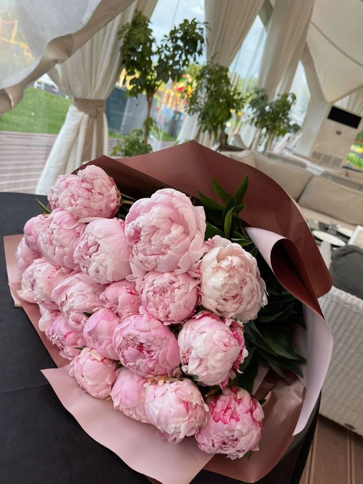 Peonies light pink Small