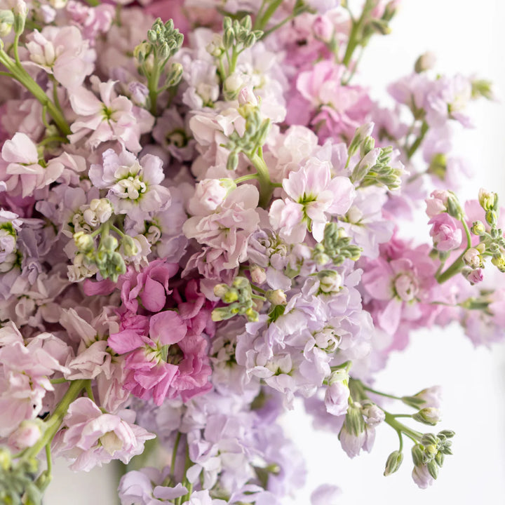 Bouquet with 40 stock light pink and lilac