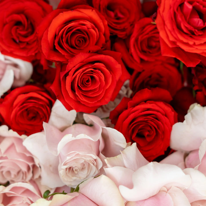 Bouquet "Rose Harmony" with pink and red roses