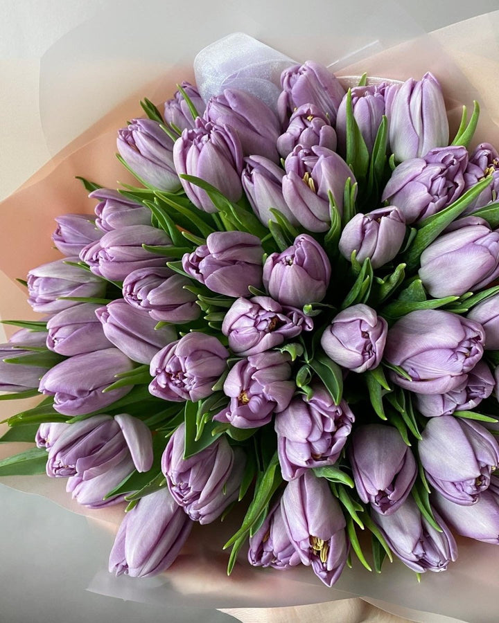 Bouquet with 51 purple tulips