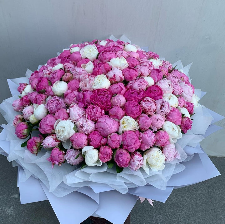 Bouquet of 200 pink peonies