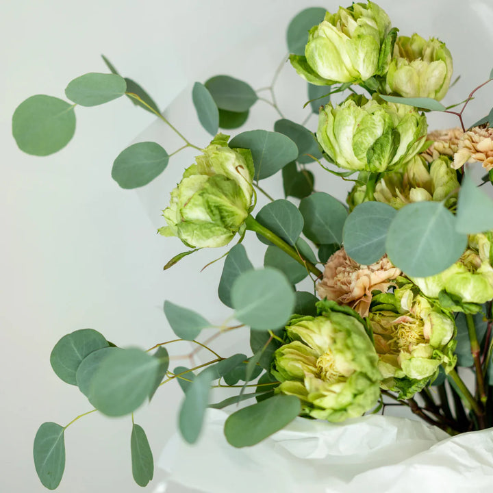 Flower box "Blossoming Artifact" with green rose and carnation