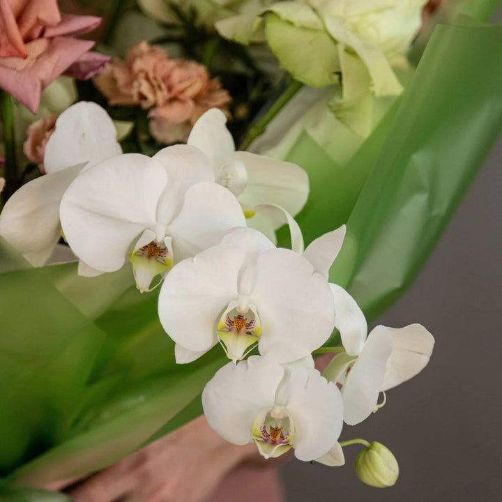 Bouquet "Green Tea Chocolate" with orchid and rose