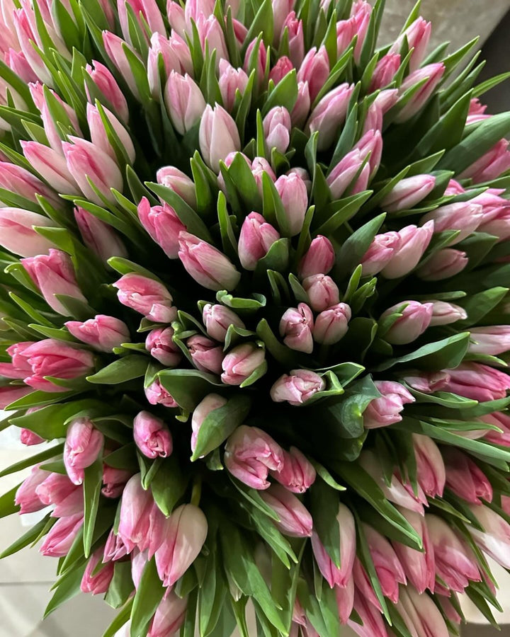 Basket of 201 tulips