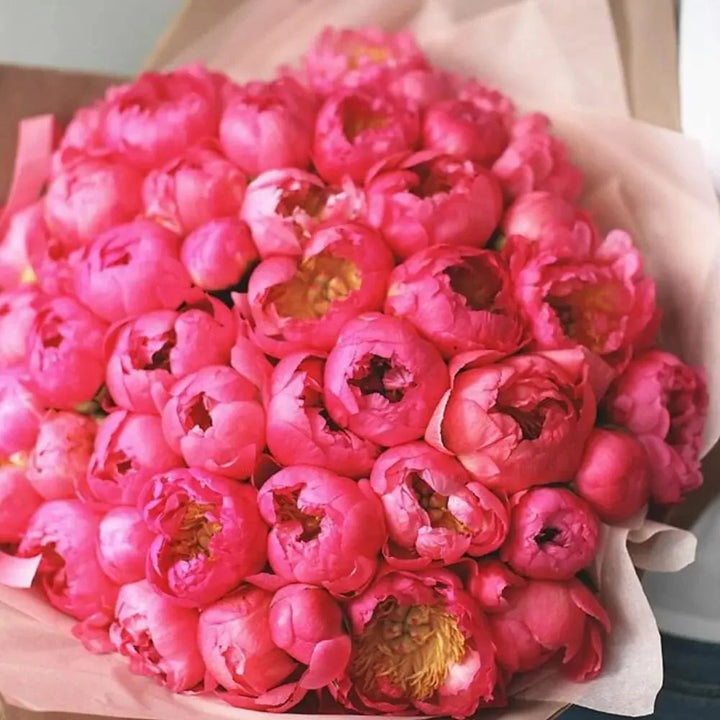 Coral peonies bouquet